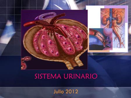 SISTEMA URINARIO Julio 2012.