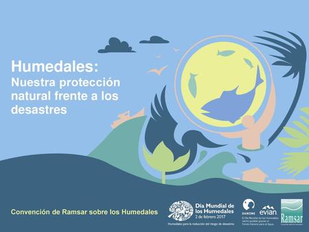 Humedales: Nuestra protección natural frente a los desastres
