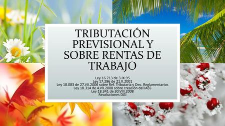 TRIBUTACIÓN PREVISIONAL Y SOBRE RENTAS DE TRABAJO