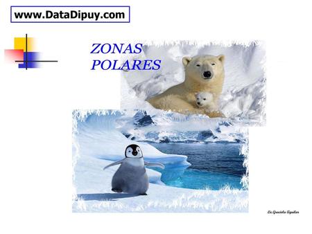 Www.DataDipuy.com Lic.Graciela Aguilar.