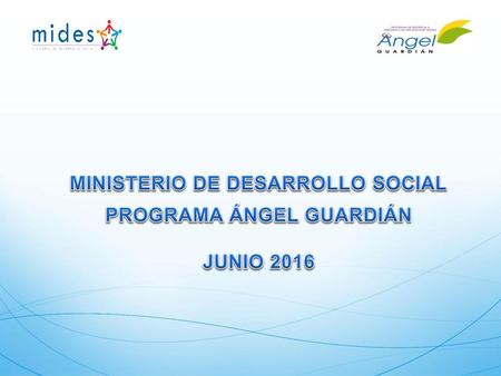 MINISTERIO DE DESARROLLO SOCIAL PROGRAMA ÁNGEL GUARDIÁN