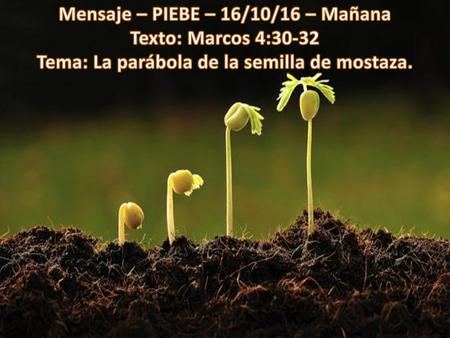 Mensaje – PIEBE – 16/10/16 – Mañana Texto: Marcos 4:30-32 Tema: La parábola de la semilla de mostaza.
