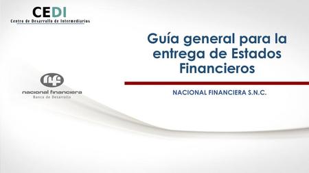 Guía general para la entrega de Estados Financieros
