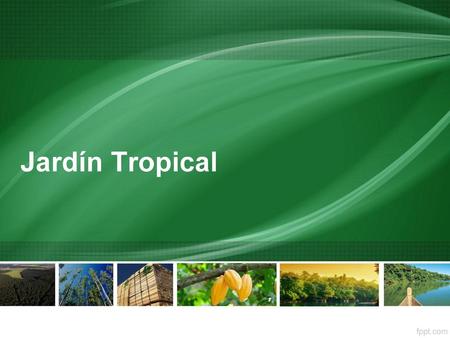 Jardín Tropical.
