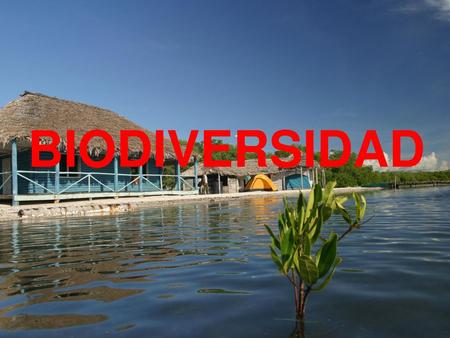 BIODIVERSIDAD.
