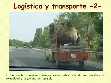 Logística y transporte -2-