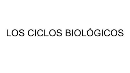 LOS CICLOS BIOLÓGICOS.