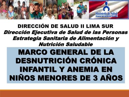 DIRECCIÓN DE SALUD II LIMA SUR