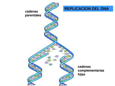 Anexo a la Maestría de B Mol.