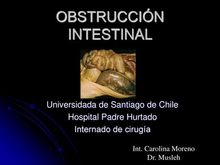 OBSTRUCCIÓN INTESTINAL