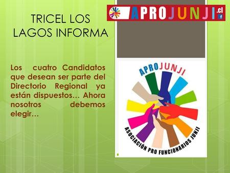 TRICEL LOS LAGOS INFORMA