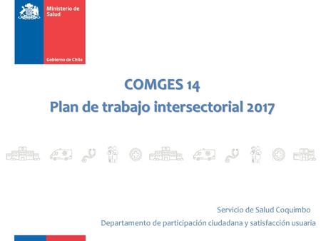 COMGES 14 Plan de trabajo intersectorial 2017