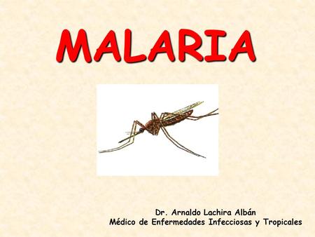 MALARIA Dr. Arnaldo Lachira Albán Médico de Enfermedades Infecciosas y Tropicales.