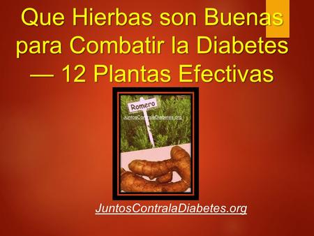 Que Hierbas son Buenas para Combatir la Diabetes — 12 Plantas Efectivas JuntosContralaDiabetes.org.