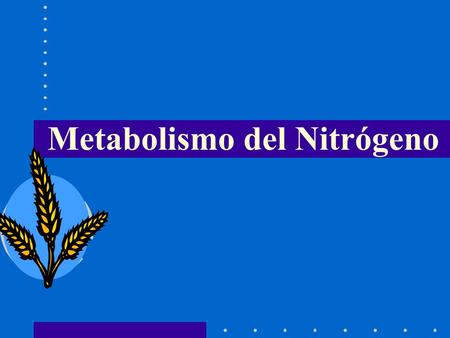 Metabolismo del Nitrógeno. N (10 6 toneladas ) Aire N N 2 O1.400 Tierra Plantas Animales200 Seres humanos10 Materia orgánica del.