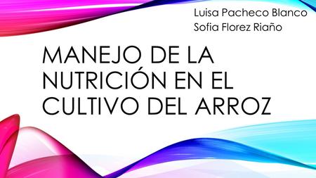 MANEJO DE LA NUTRICIÓN EN EL CULTIVO DEL ARROZ Luisa Pacheco Blanco Sofia Florez Riaño.