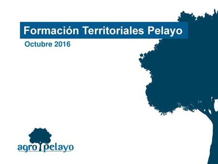 Formación Territoriales Pelayo