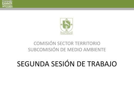 SEGUNDA SESIÓN DE TRABAJO