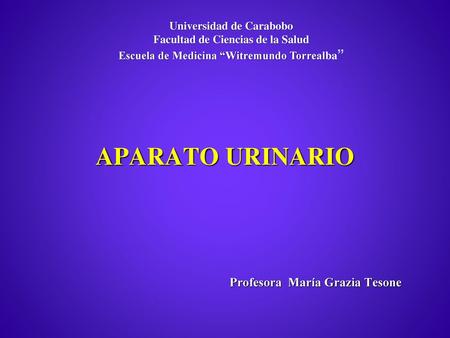 APARATO URINARIO Profesora María Grazia Tesone Universidad de Carabobo