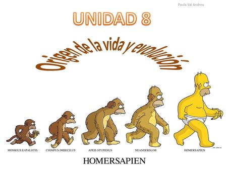 Origen de la vida y evolución