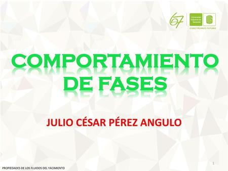 JULIO CÉSAR PÉREZ ANGULO