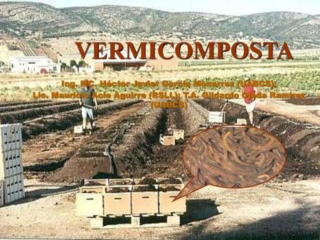 VERMICOMPOSTA Ing. MC. Héctor Javier García Monarrez (UABCS);