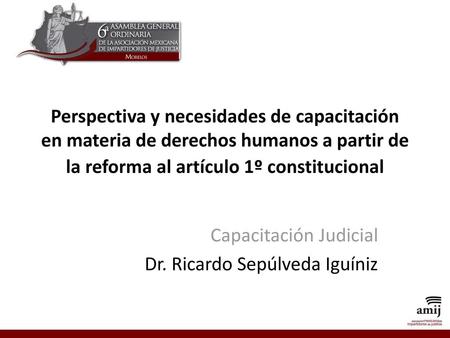 Capacitación Judicial Dr. Ricardo Sepúlveda Iguíniz