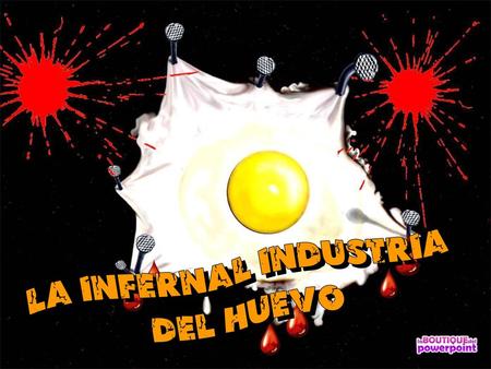 La infernal industria del huevo.