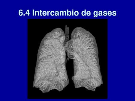 6.4 Intercambio de gases.