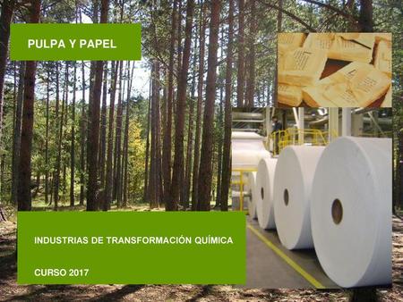 PULPA Y PAPEL INDUSTRIAS DE TRANSFORMACIÓN QUÍMICA CURSO 2017.