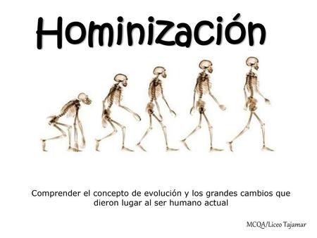 Hominización MCQA/Liceo Tajamar