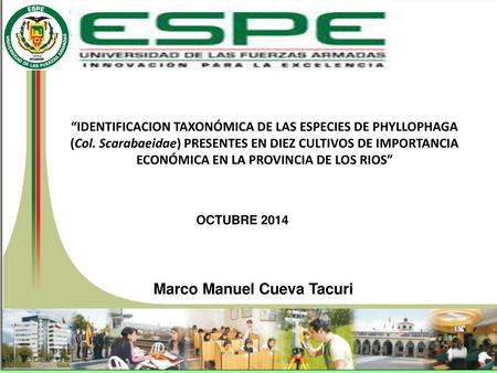 Marco Manuel Cueva Tacuri