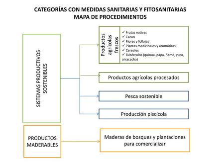 CATEGORÍAS CON MEDIDAS SANITARIAS Y FITOSANITARIAS