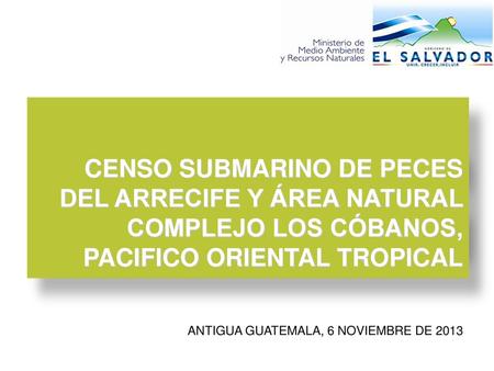 CENSO SUBMARINO DE PECES DEL ARRECIFE Y ÁREA NATURAL COMPLEJO LOS CÓBANOS, PACIFICO ORIENTAL TROPICAL ANTIGUA GUATEMALA, 6 NOVIEMBRE DE 2013.