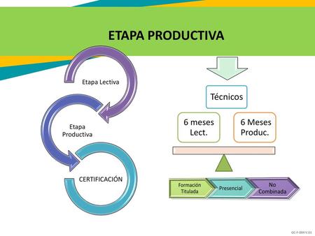 ETAPA PRODUCTIVA Técnicos 6 meses Lect. 6 Meses Produc. Etapa Lectiva