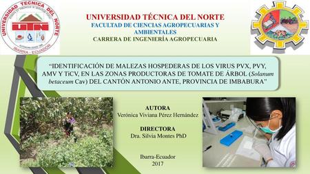 UNIVERSIDAD TÉCNICA DEL NORTE