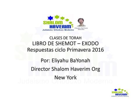 Respuestas ciclo Primavera 2016