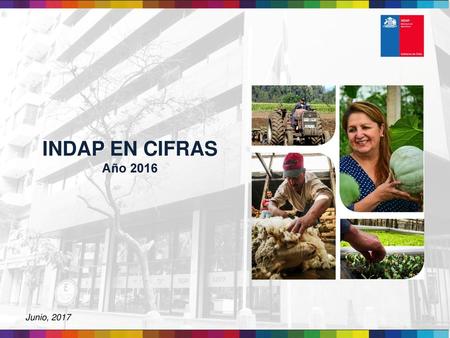 INDAP EN CIFRAS Año 2016 Junio, 2017.