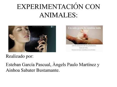 EXPERIMENTACIÓN CON ANIMALES:
