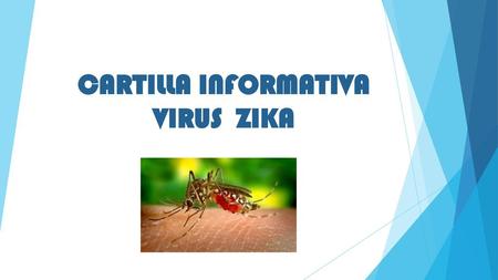   El virus zika es causado por la picadura de un mosquito y se cataloga como un arbovirus perteneciente al género flavivirus, que son aquellos que animales.
