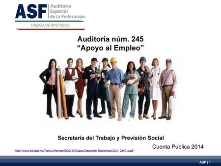 Auditoría núm. 245 “Apoyo al Empleo”