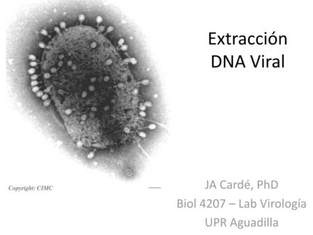 JA Cardé, PhD Biol 4207 – Lab Virología UPR Aguadilla