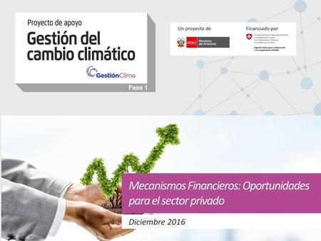 Mecanismos Financieros: Oportunidades para el sector privado