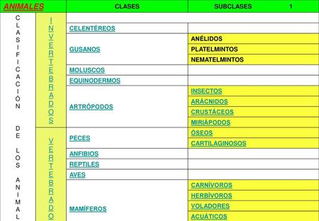 ANIMALES I N V E R T E B R A D O S V E R T E B R A D O S CLASES