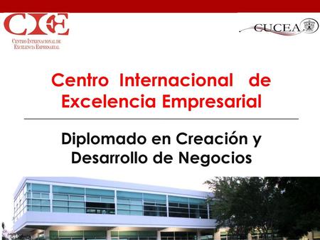 Centro Internacional de Excelencia Empresarial