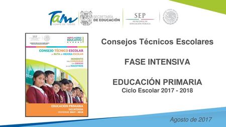 Consejos Técnicos Escolares