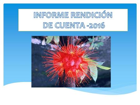 INFORME RENDICIÓN DE CUENTA -2016.