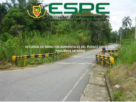 ESTUDIOS DE IMPACTOS AMBIENTALES DEL PUENTE SINDY DOS, PROVINCIA DE NAPO  