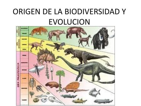 ORIGEN DE LA BIODIVERSIDAD Y EVOLUCION