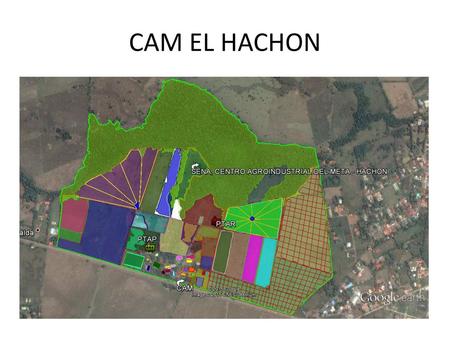 CAM EL HACHON.